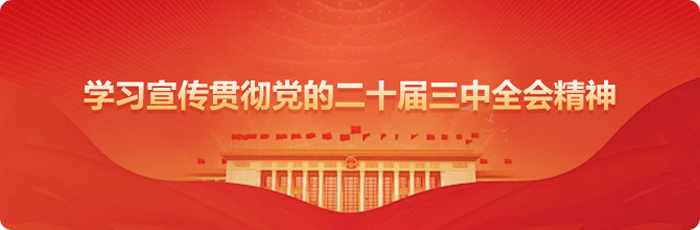 学习宣传贯彻党的二十届三中全会精神